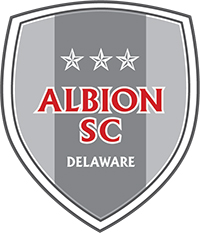 ABION SC Delaware