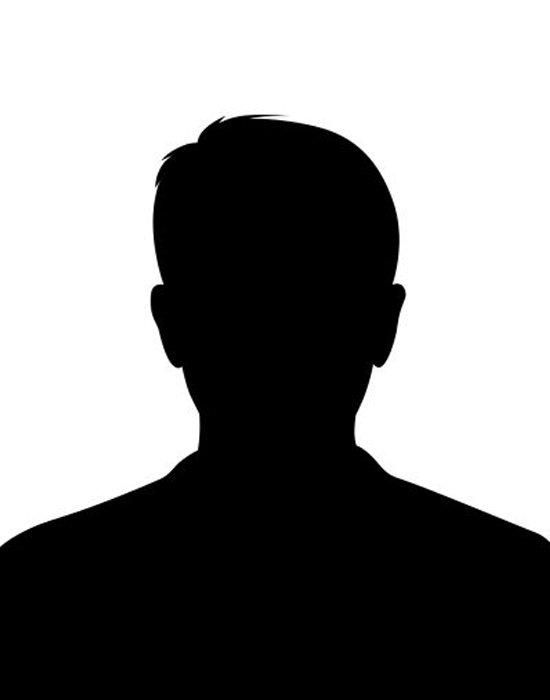 Technical Director 